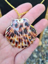 Upload image to gallery view, Shell leo necklace
