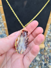 Upload image to gallery view, Shell leo necklace
